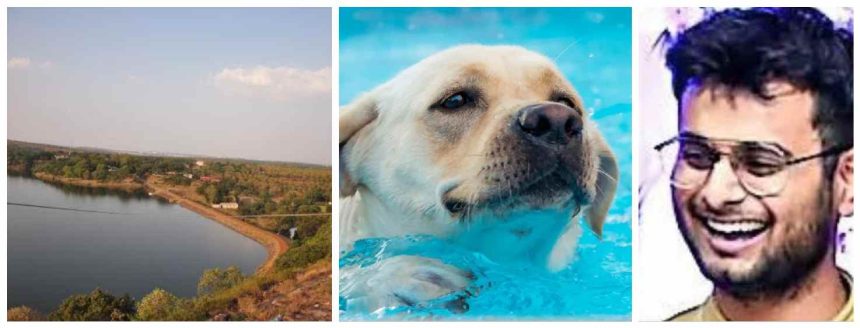 Jungle Camp in Kerwa Dam : मैत्रिणीच्या कुत्र्याला वाचवताना त्याचा धरणात बुडून मृत्यू