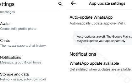 WhatsApp Auto Update Feature