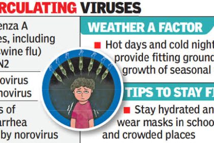 Swine Flu cases rise in India : चिंता वाढली…! कोरोनापेक्षा स्वाइन फ्लूचा जास्त धोका;