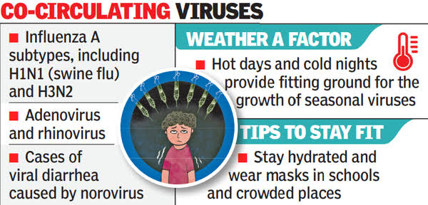 Swine Flu cases rise in India : चिंता वाढली…! कोरोनापेक्षा स्वाइन फ्लूचा जास्त धोका;