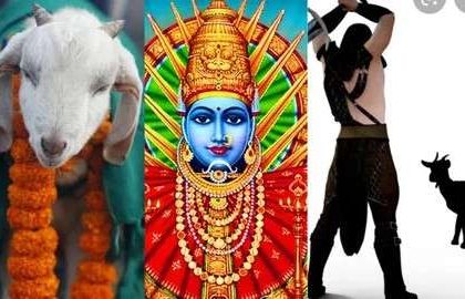 Kokatnur Yallamma Devi Yatra बेळगाव : यल्लमा देवी यात्रेतील प्राणी हत्या रोखा