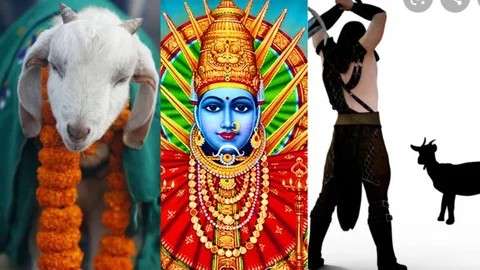 Kokatnur Yallamma Devi Yatra बेळगाव : यल्लमा देवी यात्रेतील प्राणी हत्या रोखा