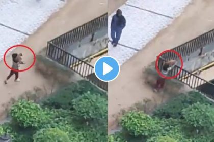 7-year-old boy throws puppy from 20 feet in Noida
