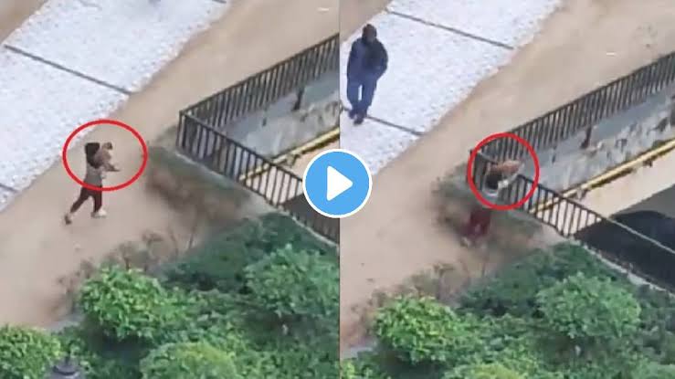 Viral Video : 7 वर्षाच्या मुलानं कुत्र्याच्या पिल्लाला इमारतीवरुन फेकलं; वडिलांनी रेकॉर्ड केला Video
