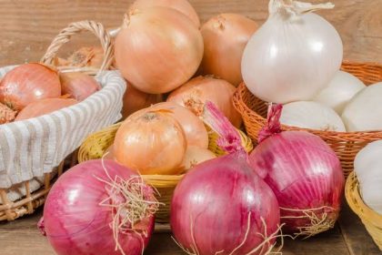 History of Onion