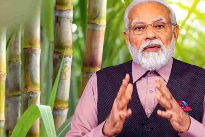 hike in sugarcane FRP by Rs 25 to Rs 340 per quintal